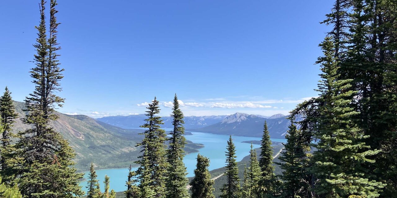 Montana Mountain
