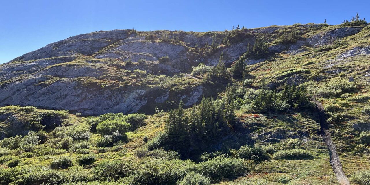 Trail Etiquette