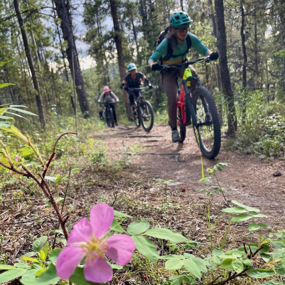 CMBC SKILLS CLINICS ARE BACK!