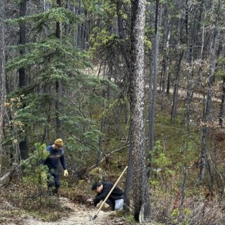 Trail Day – Mad to the Max