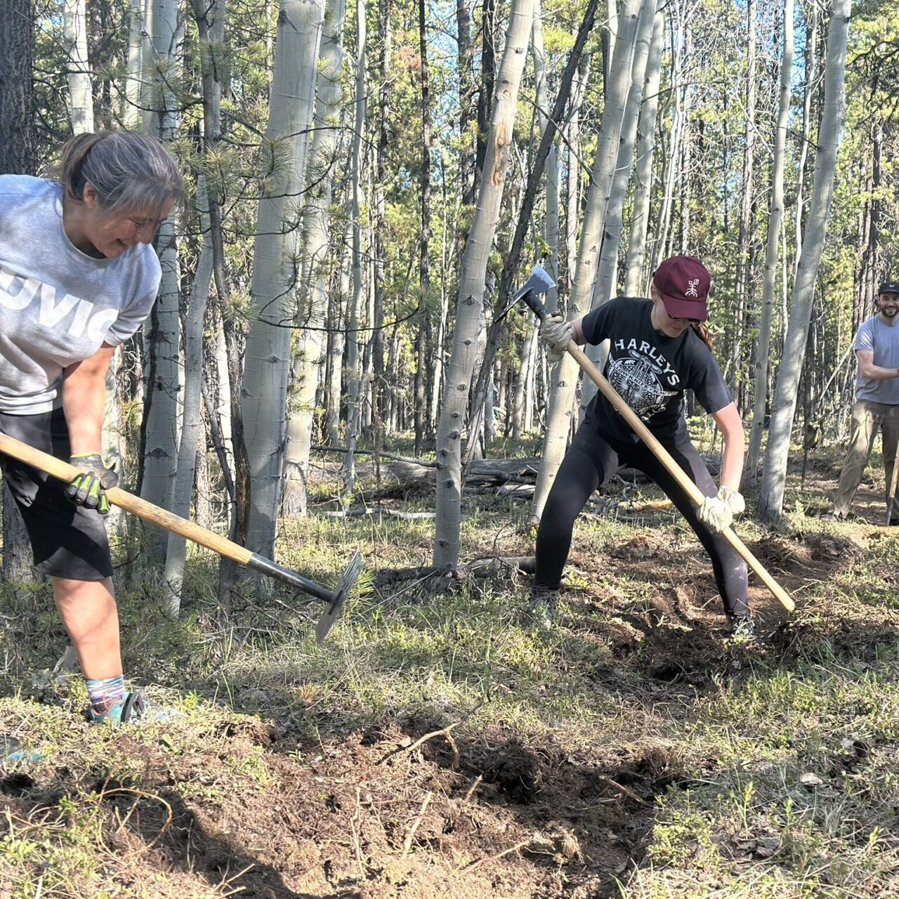 TRAIL DAY – GREY LINE